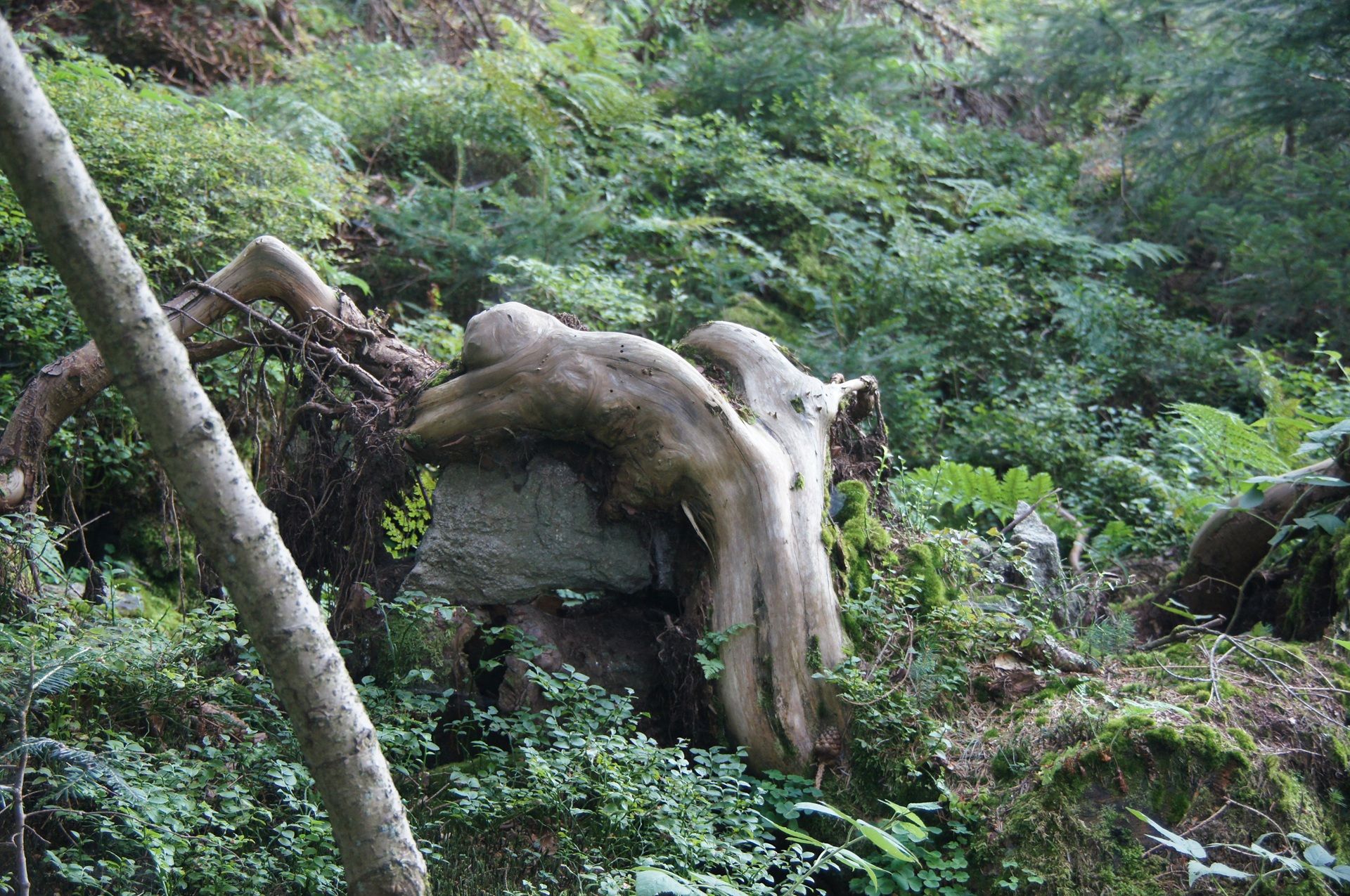 Geomantie Die wilde Frau